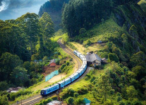 PADI Emergency First Response