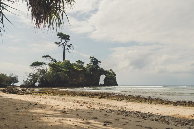 Reach Neil Island From Port Blair