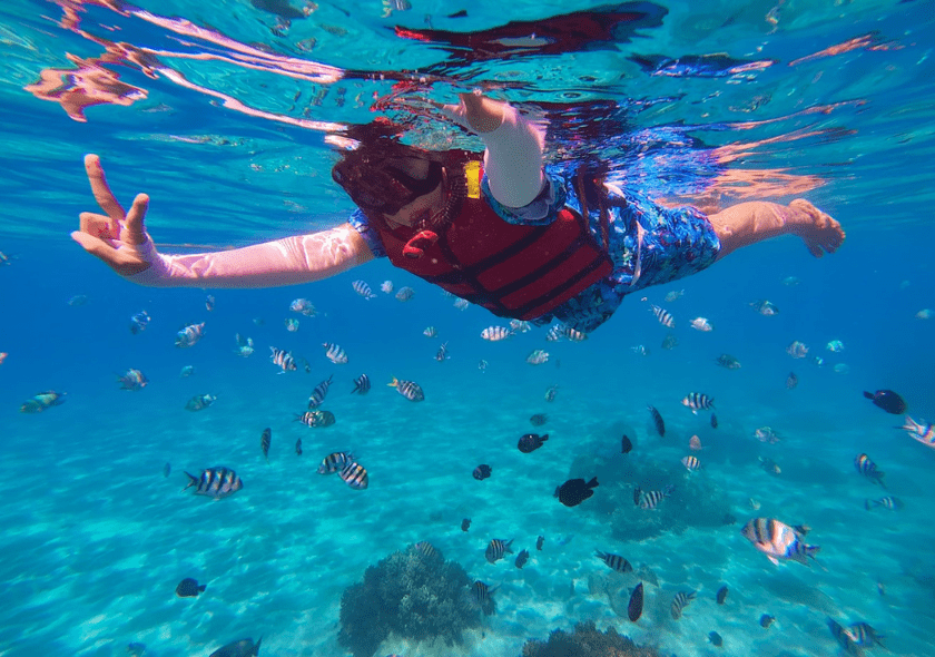 Snorkeling in Andaman