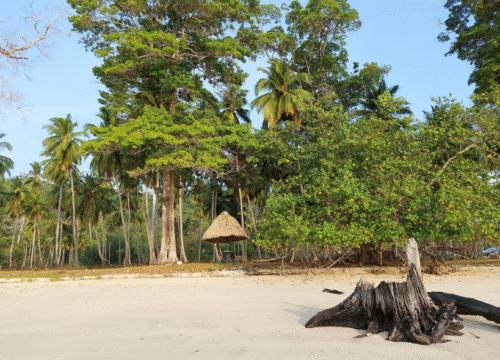 Andaman Tourism Packages @ 30,899/-pp