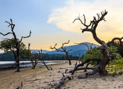 Kalipur Beach  – North & Middle Diglipur