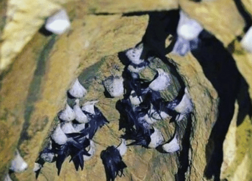 Andaman Family Packages from Hyderabad @ 13,700/-pp