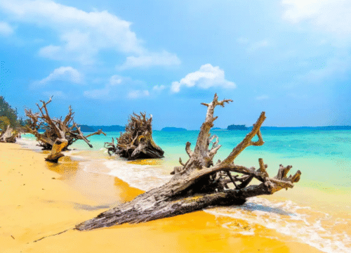 Wandoor Beach – In Port Blair