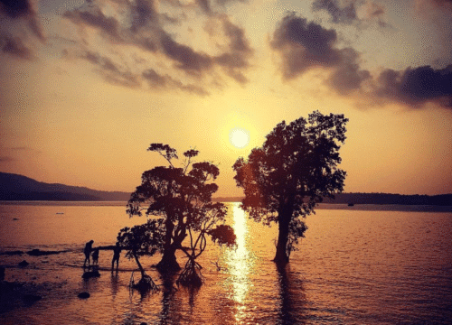 Chidiya Tapu Beach Sunset View Point