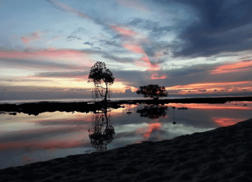 Ramnagar Beach – North & Middle Diglipur