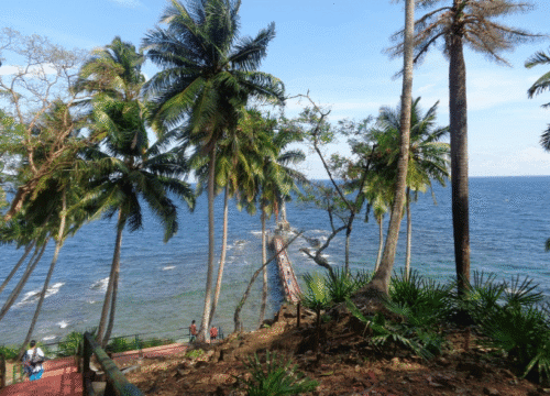 Andaman Best Itinerary from Delhi @ 16,899/-pp