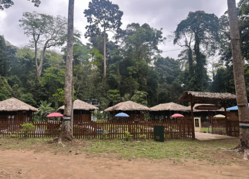 4 Nights 5 Days Andaman Family Packages