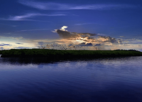 Andaman Womens Tour Packages @ 14,899/-pp