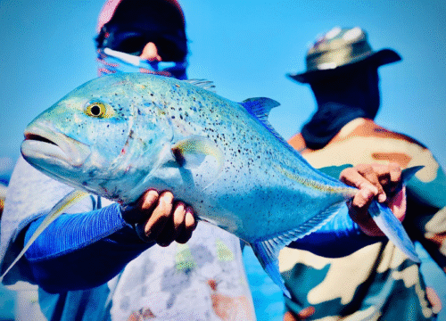 Cinque Island – Nicobar Island