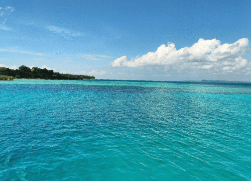 Bharatpur Beach – In Neil Island