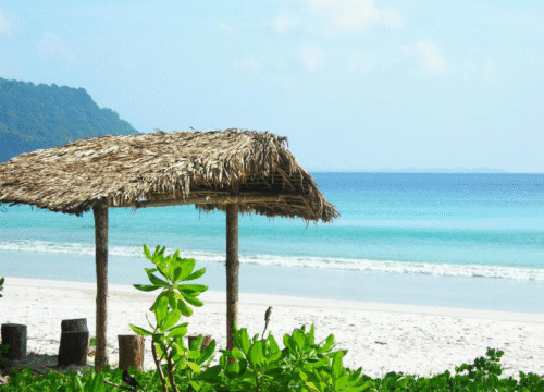 Radhanagar Beach – in Havelock Island