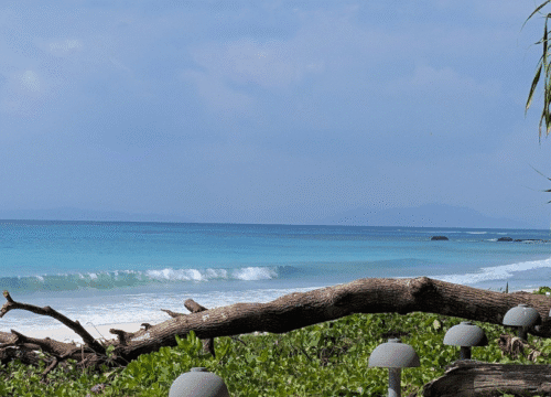 Andaman Family Packages @13,999/-pp