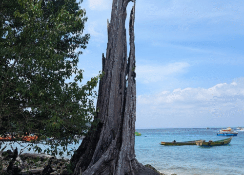 7 Nights 8 Days Andaman Nicobar Tour Packages @ 17,499/-pp