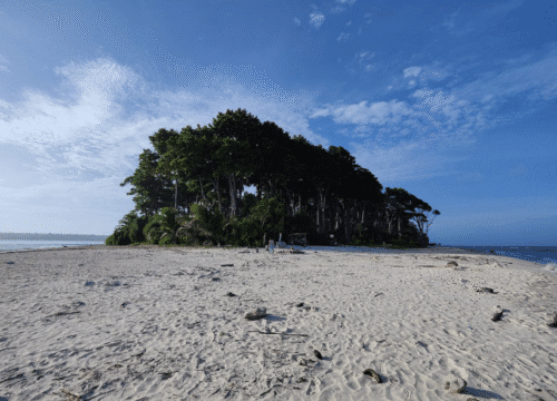 Jolly Buoy Island – In Port Blair