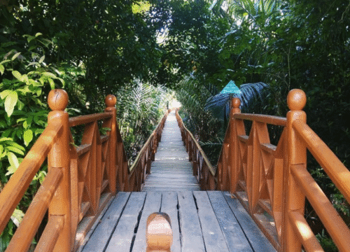 Dhaninallah Mangrove Walkway – North & Middle Rangat