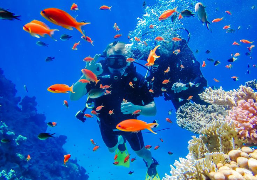 Scuba Diving in Andaman