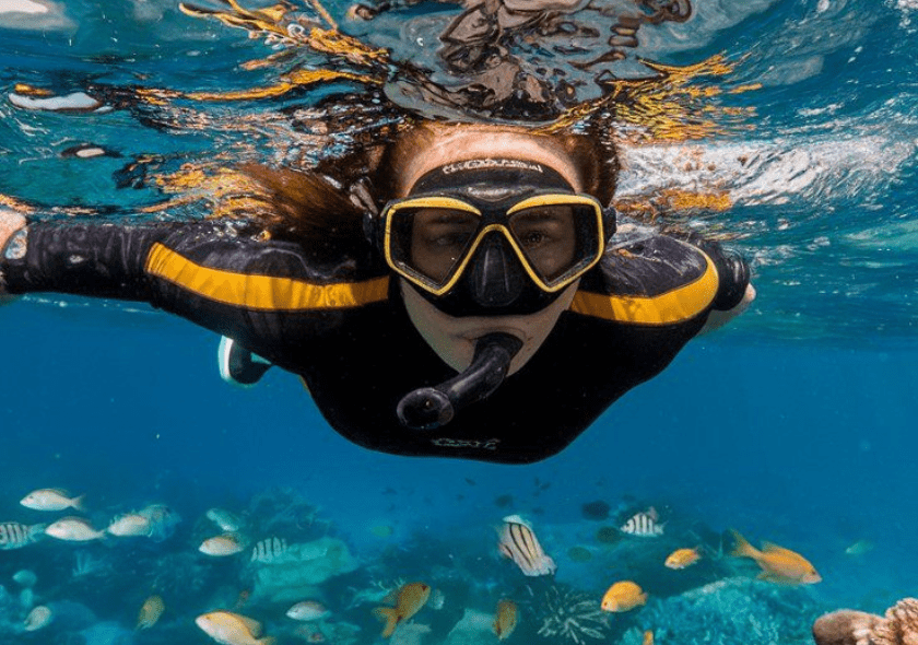 Snorkeling in Andaman