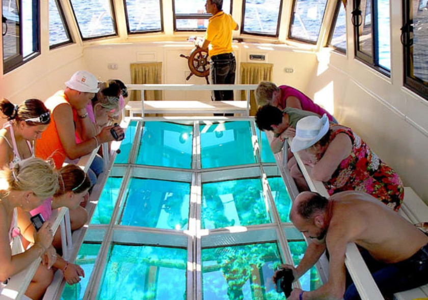 Glass Bottom Boat Ride