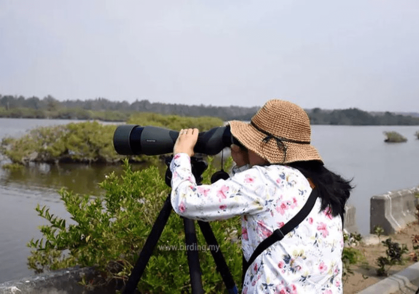 Bird Watching in Andaman
