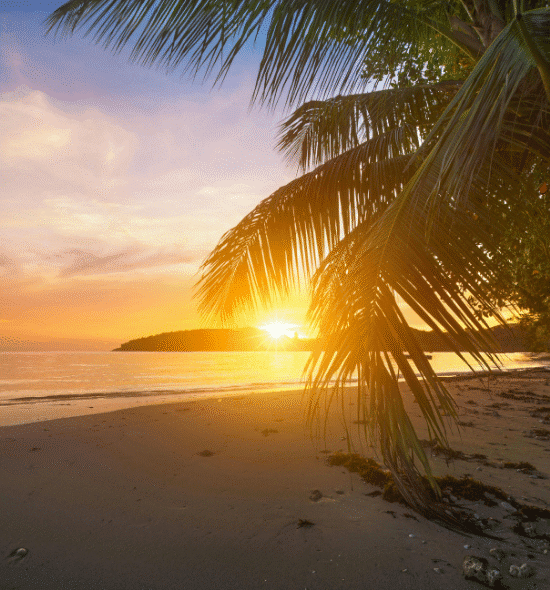 Andaman Tour Packages from Mumbai @ 11,999/-pp