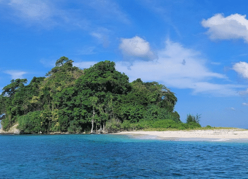 3 Nights 4 Days Andaman LTC Packages
