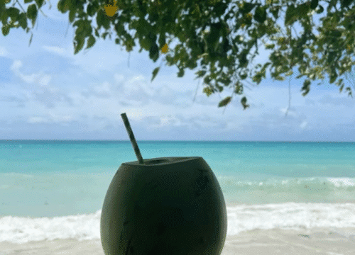 4 Nights 5 Days Andaman LTC Packages