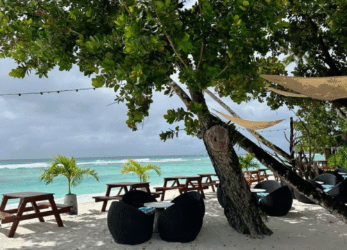 5 Nights 6 days Andaman LTC Packages