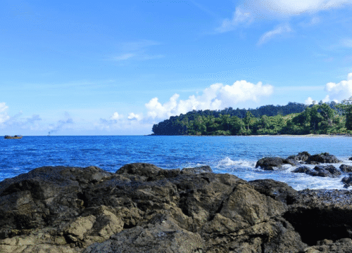 Andaman Family Packages from Mumbai @ 14,899/-pp