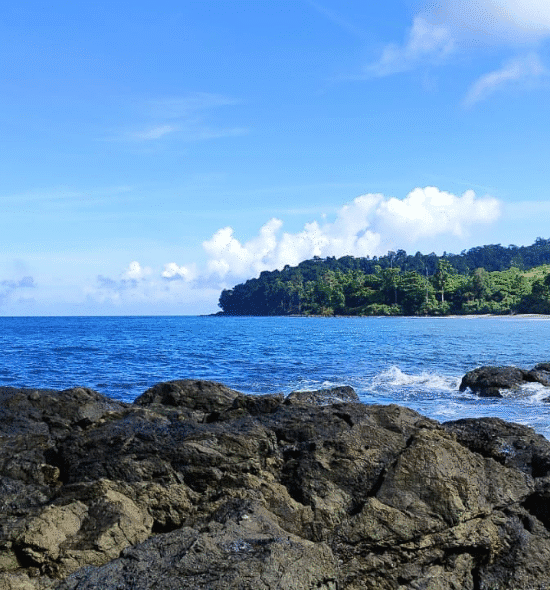 Andaman Family Packages from Mumbai @ 14,899/-pp