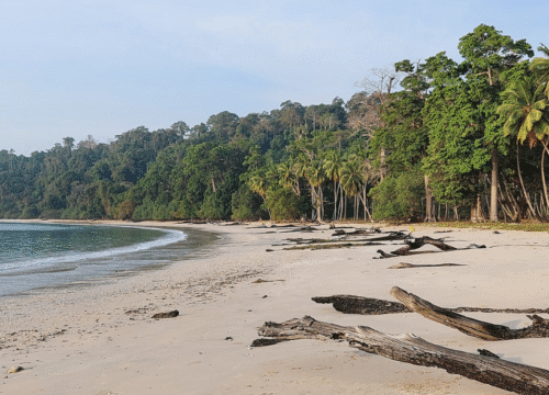 Andaman Family Packages From Chennai @ 14,200/-pp