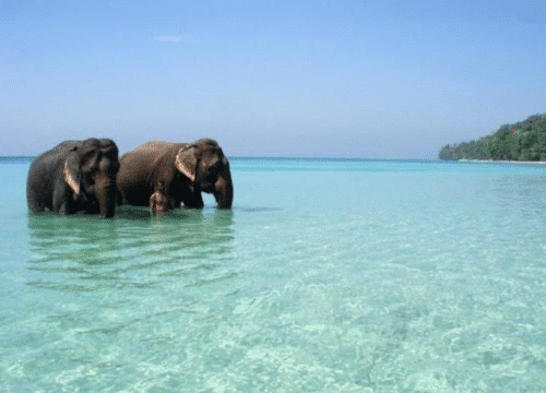 Andaman family Packages from Chennai @ 10,899/-pp