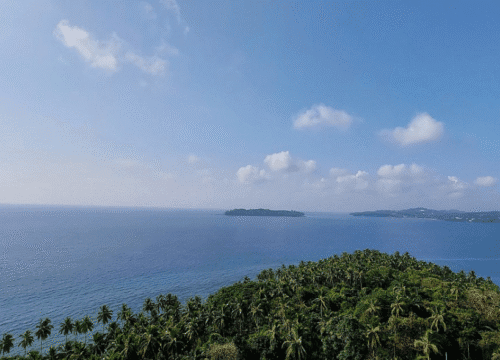 Andaman Tour Package from Kolkata @ 11,500/-pp