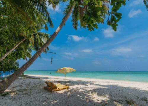 Andaman Honeymoon Packages for Couple @22,500/-pp