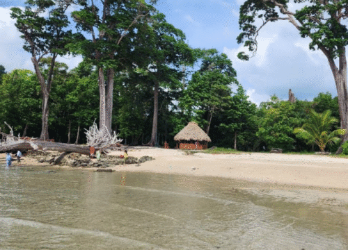 Andaman Romantic Honeymoon @ 22,599/-pp