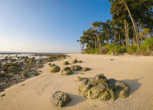 Andaman Family Tour Packages @ 12,500/-pp