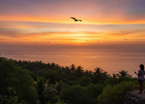 Chidiya Tapu: The Ultimate Guide to Andaman’s Sunset Point & Bird Island