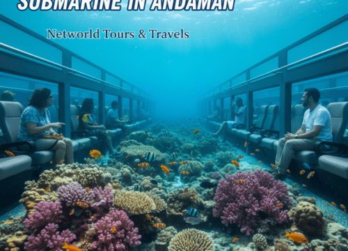 Coral Safari Semi Submarine in Andaman