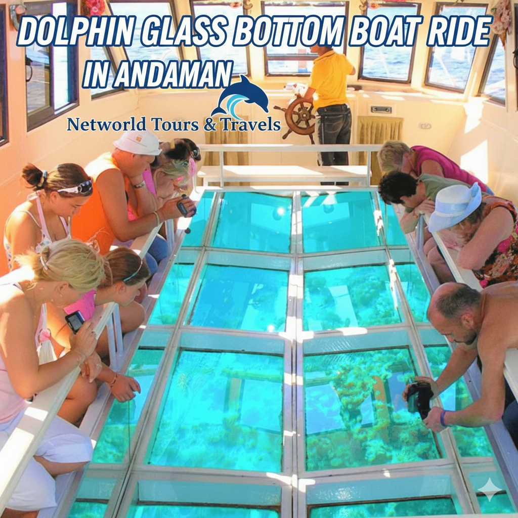 Dolphin Glass Bottom Boat Ride in Andaman