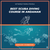 Best scuba diving course in Andaman