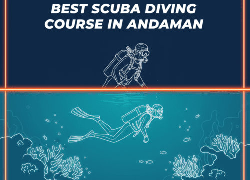Best scuba diving course in Andaman