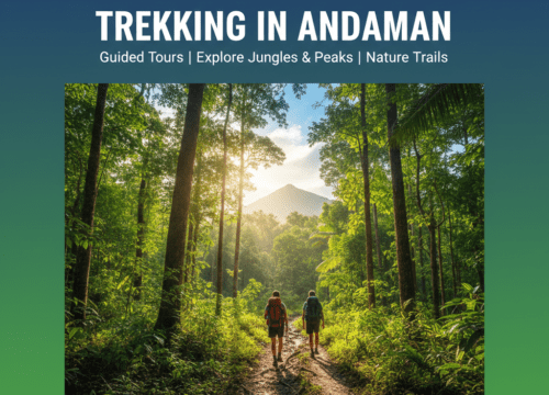 Trekking in Andaman