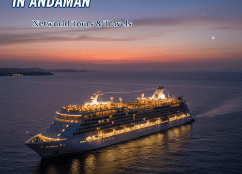 Dinner Cruise in Andaman
