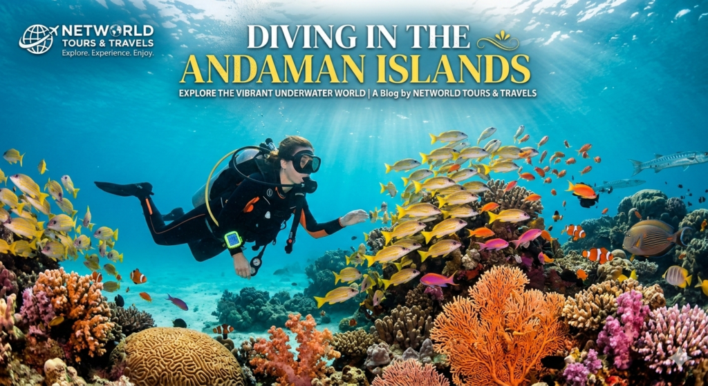 Diving in the Andaman Islands