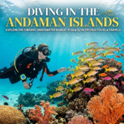 Diving in the Andaman Islands