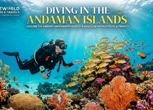 Diving in the Andaman Islands