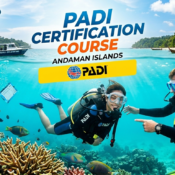 PADI certification course Andaman cost