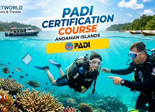 PADI certification course Andaman cost