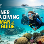 Beginner scuba diving Andaman price