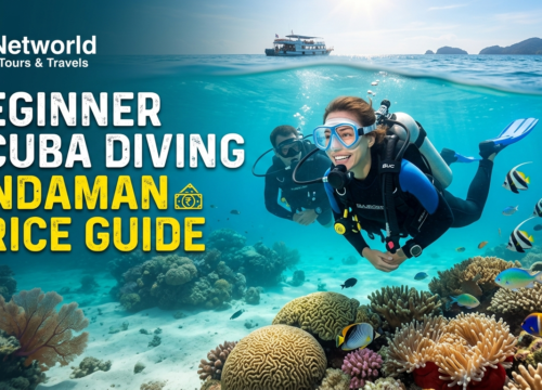 Beginner scuba diving Andaman price