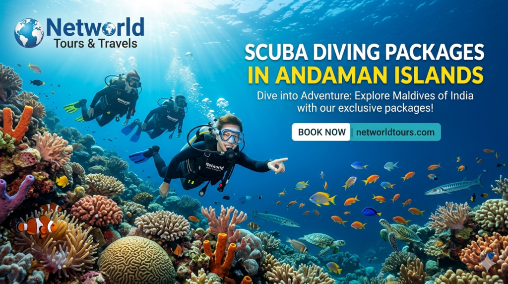 scuba diving packages in Andaman Islands